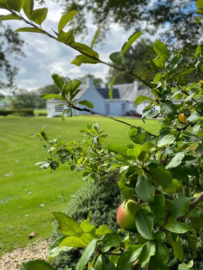 South Craighall B&B Eaglesham Екстер'єр фото